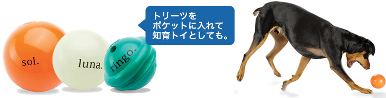 オービータフ　コスモ