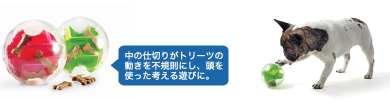オービータフ　メイズ