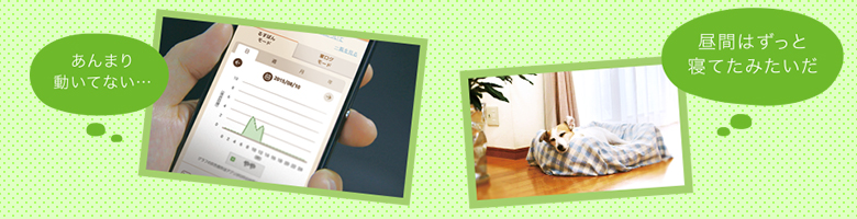 ペットの活動状況をグラフ化して表示