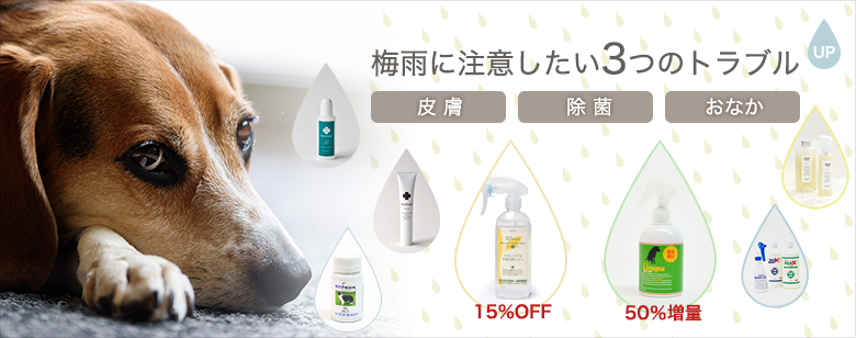 梅雨に注意したい犬のトラブル3