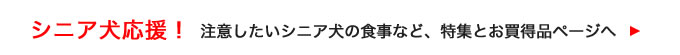 シニア犬応援