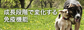 成長段階で変化する免疫機能