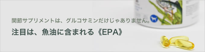 ドクターハーヴィー 魚油