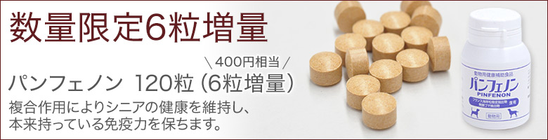 パンフェノン120粒+6粒