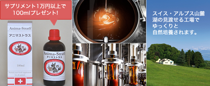 プレゼント品　アニマストラス