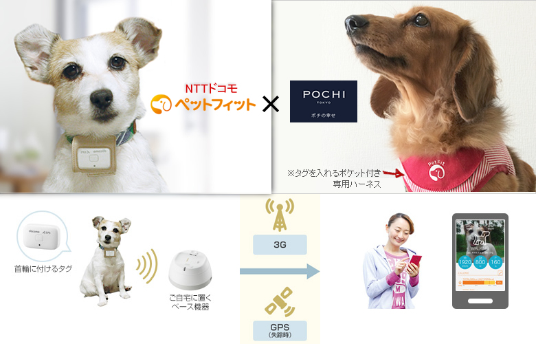 NTTドコモ ペットフィットとPOCHIコラボ専用ハーネス