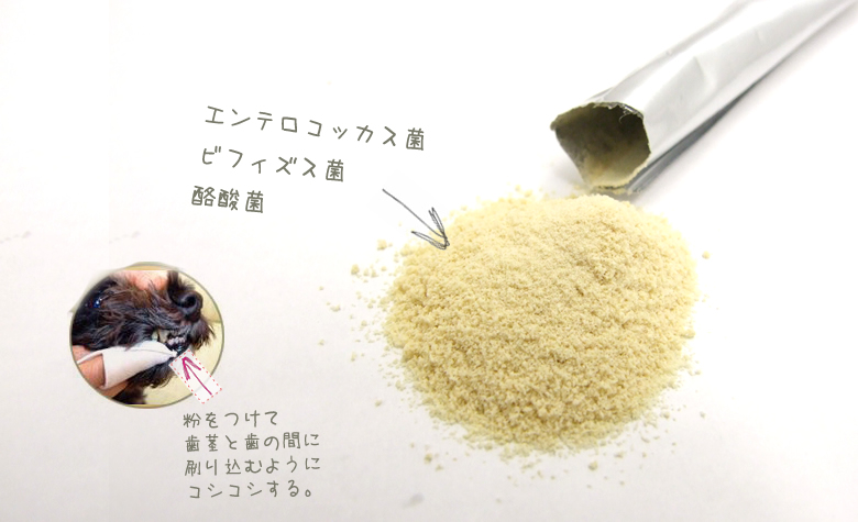 デンタルプロバイオティクス