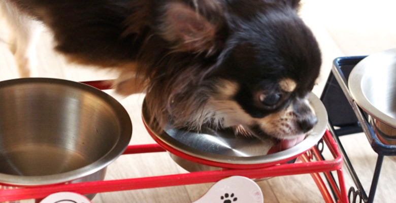 雑菌・カビが繁殖する3つの要素とは