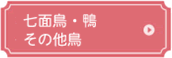 その他鳥類