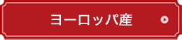 ヨーロッパ