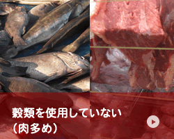 グレインフリー