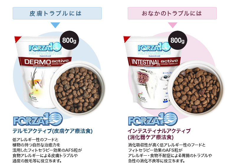 皮膚とおなかのお悩みに！療法食キャンペーン