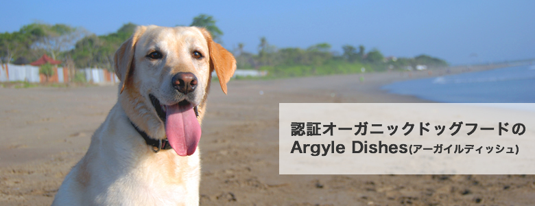 認証オーガニックドッグフードのArgyle Dishes(アーガイルディッシュ)について語っています。
