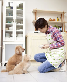 Animonda（アニモンダ）ドッグフードの安全性のイメージ画像