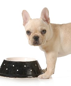 安心の厳選素材