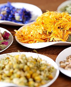 ハーブ配合ドッグフード