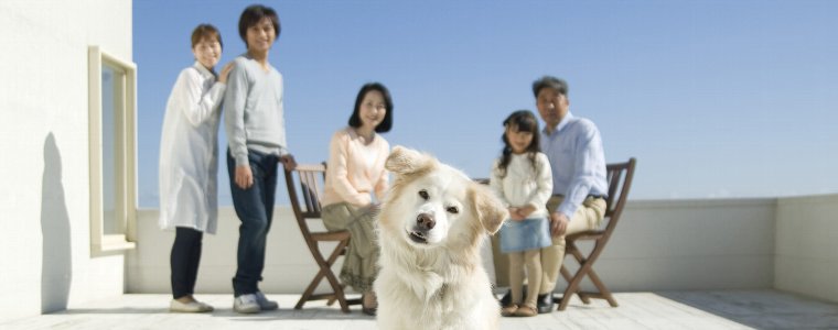 イタリア産 forza10 フォルツァディエチのドッグフードについて語っています。