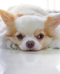 お腹にやさしく素材が活きる