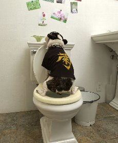 便のにおい