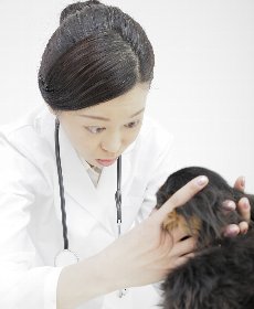 万が一白内障になってしまったら