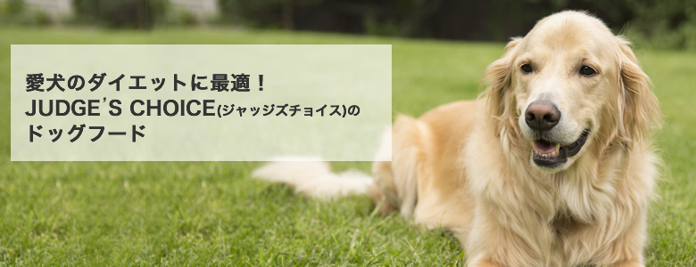 犬のダイエットに最適!JUDGE’S CHOICE(ジャッジズチョイス)のドッグフードについて語っています。