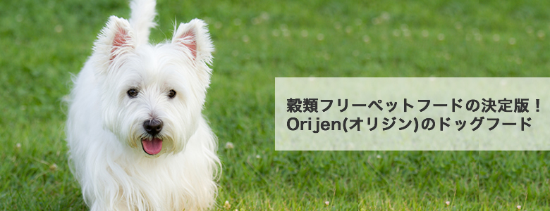 Orijen (オリジン)のドッグフードについて語っています。