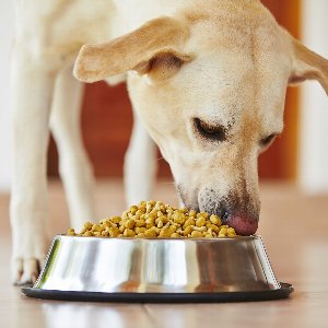 pHコントロールフード