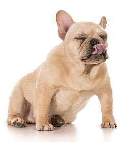 リデュースカロリー