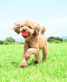 健康をサポート