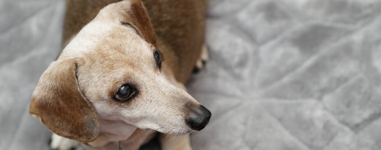 白内障の症状&予防法について