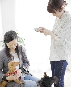 ヤラーファミリー画像