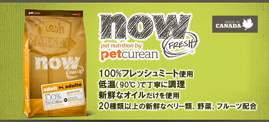 ナウ!(Now!) ドッグフード