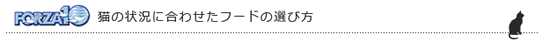 猫の状況に合わせたフードの選び方