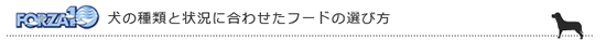 犬の種類と状況に合わせたフードの選び方