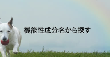 機能性成分 成分名から