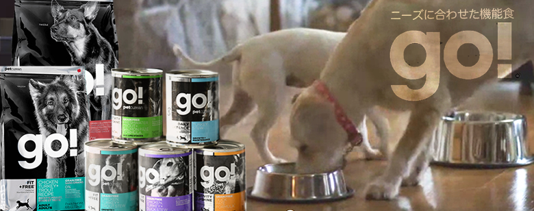 ゴー!