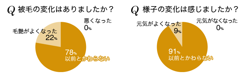 被毛の変化はありましたか?様子の変化は感じましたか?