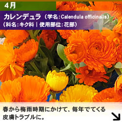 4月