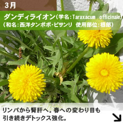 3月