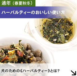 おいしいハーバルティの作り方