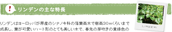 リンデンの特長