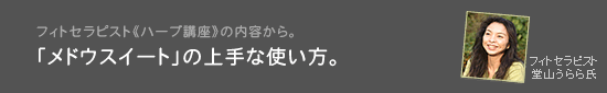 フィトセラピストのハーブ講座から