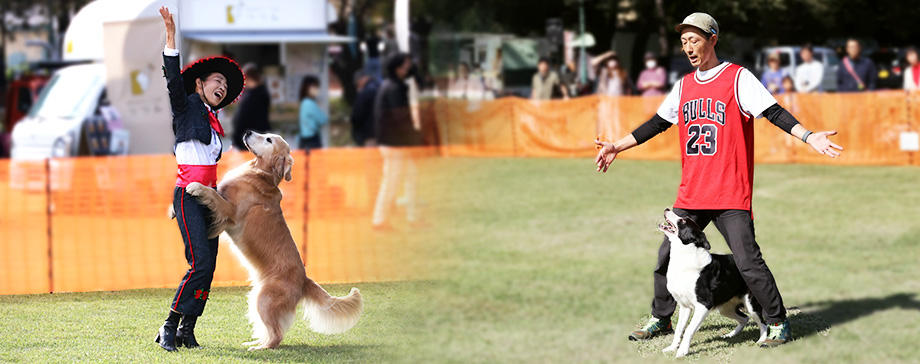 【＃大きな犬と】ドッグダンスが熱い！注目度ナンバーワンのドッグスポーツの魅力とは？