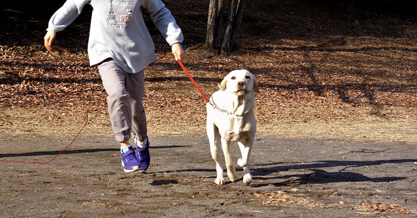 公園で仲良くなった、2頭の犬と暮らしているという小学生と走って大喜び