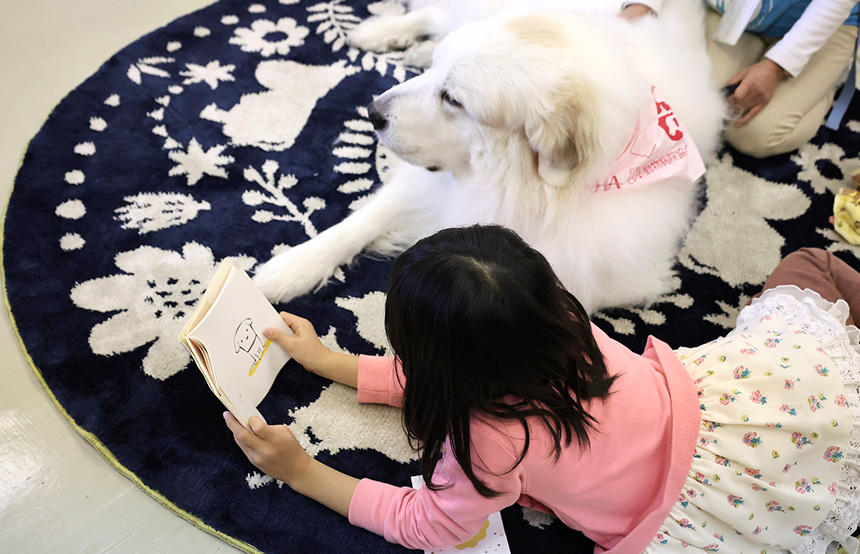 読書サポート犬も子どももリラックスしながら