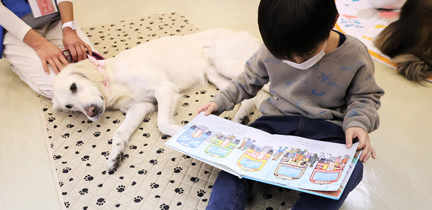 サニーちゃんは、読書犬をはじめ、さまざまな施設を訪問する「セラピードッグ」です　