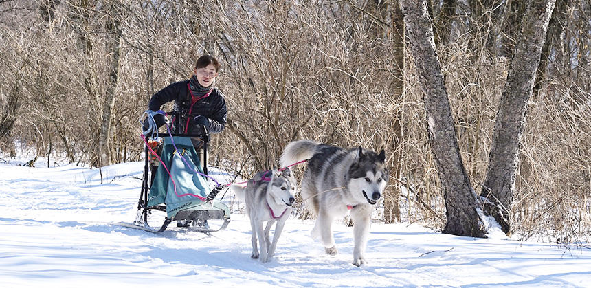滝沢牧場の犬ぞりの林間コースで、犬と一緒に冬の自然も満喫（写真提供：犬力舎）