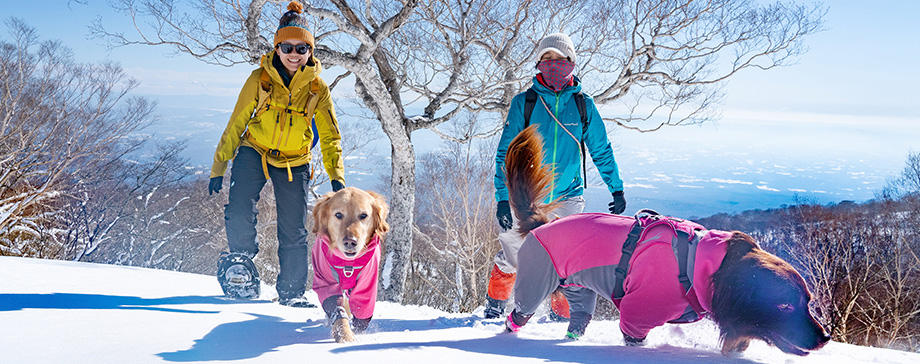 【＃大きな犬と】雪遊び！ スノーシューに大きな犬と挑戦