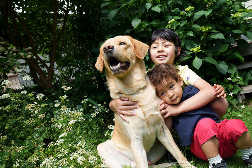 Dog Snapshot R 令和の犬景Vol.20　「人と犬の絆」を描く『アイメイト・サポートカレンダー』