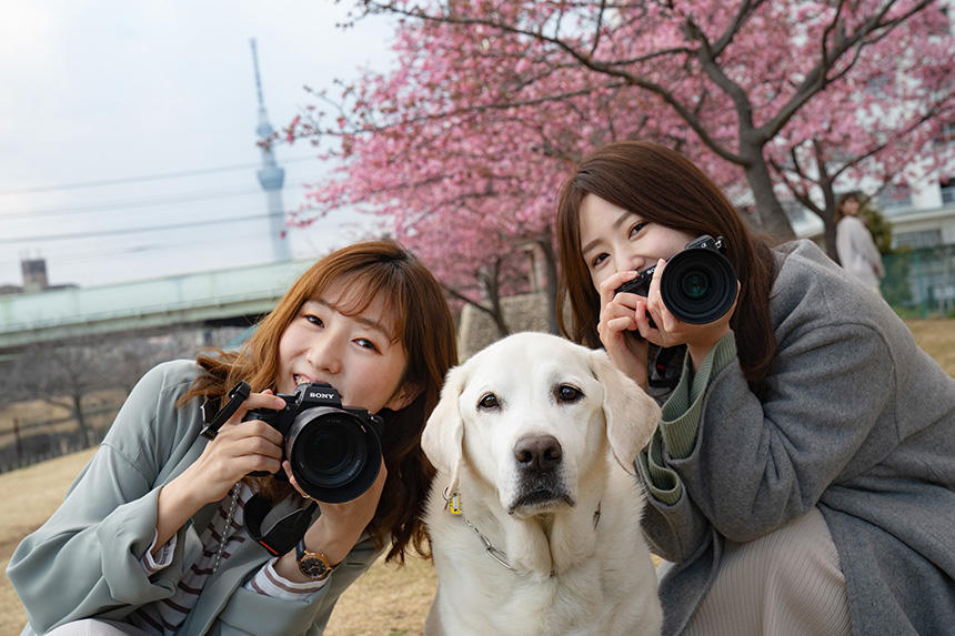 昨年の春は東京で春を迎えた。スカイツリーを望む土手で、河津桜を撮っていたお姉さんたちに囲まれて